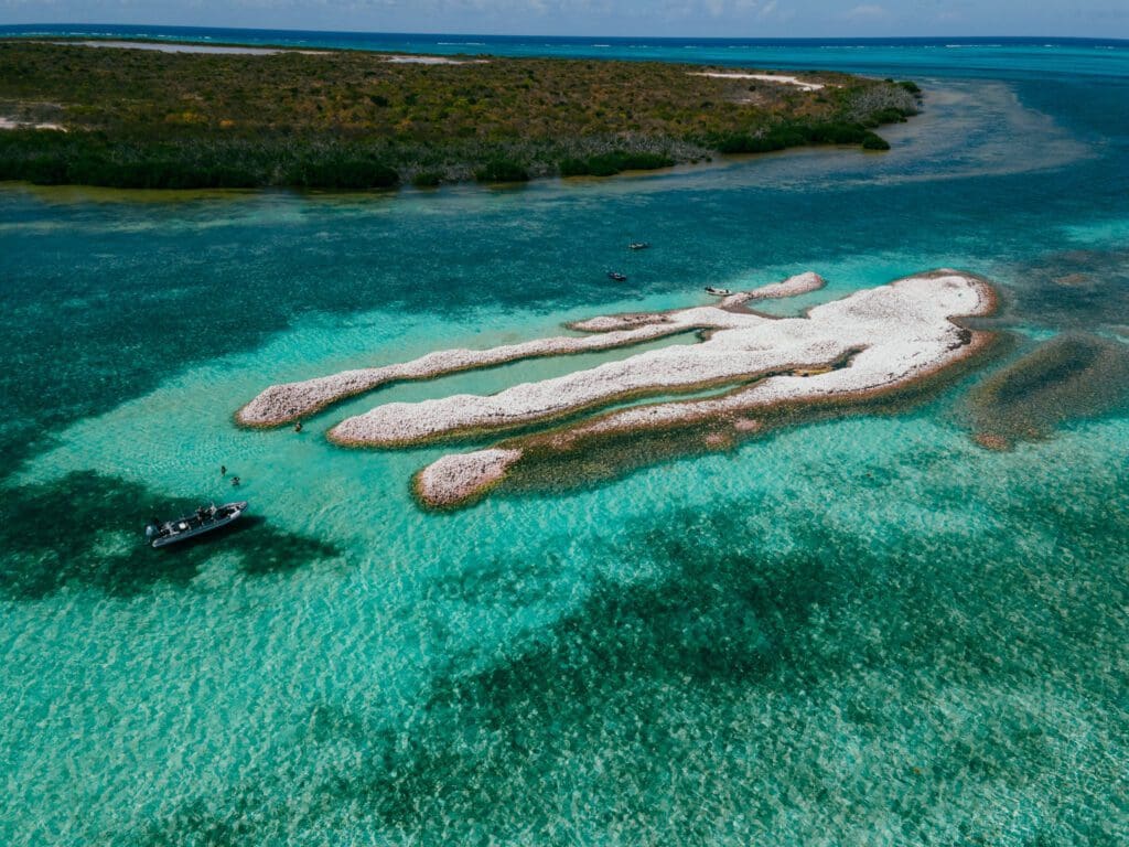 Conch Shell Island - a must-do on our Anegada boat tour